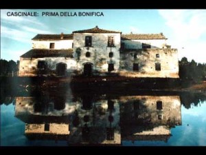 cascinale